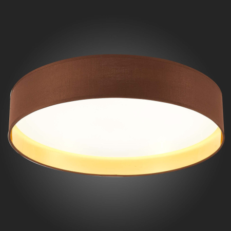 Накладной светильник Evoluce SLE300592-01