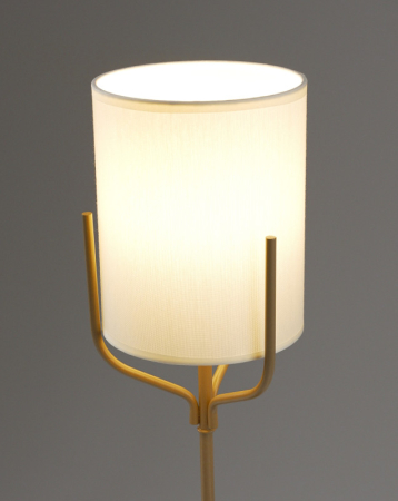 Настольная лампа Moderli V11858-1T