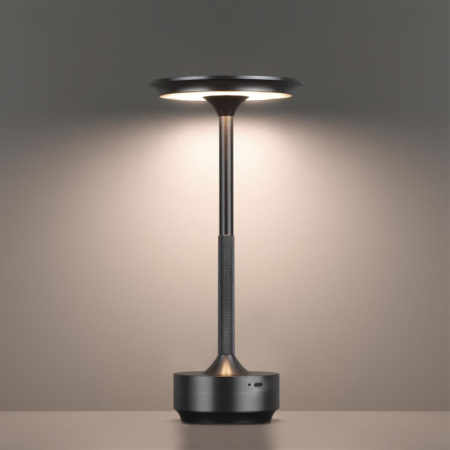 Настольная лампа Odeon Light 5034/6TL