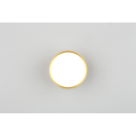 Накладной светильник Omnilux OML-100929-06