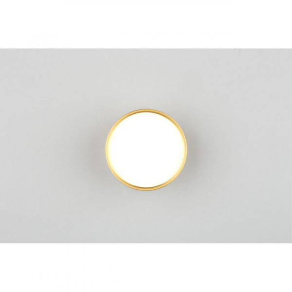 Накладной светильник Omnilux OML-100929-06