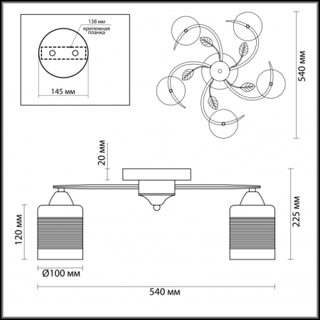 Накладная люстра LUMION 3029/5C