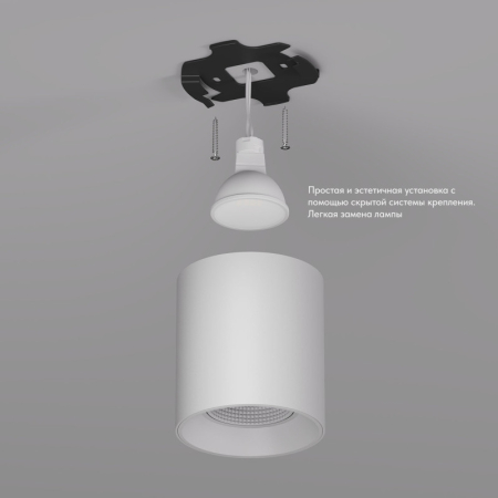 Накладной светильник Denkirs DK3090-WH