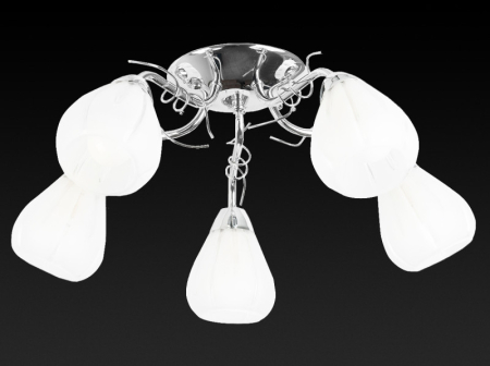 Накладная люстра TOPLIGHT TL3640X-05CH