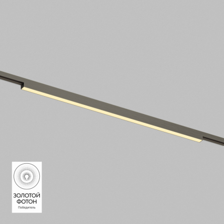 Светильник на шине Denkirs DK5752-DN