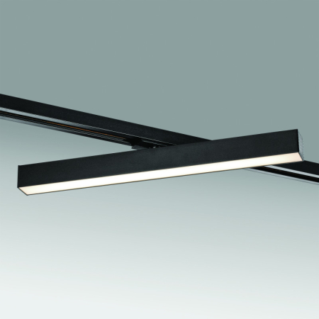 Светильник на шине Lightstar 202147