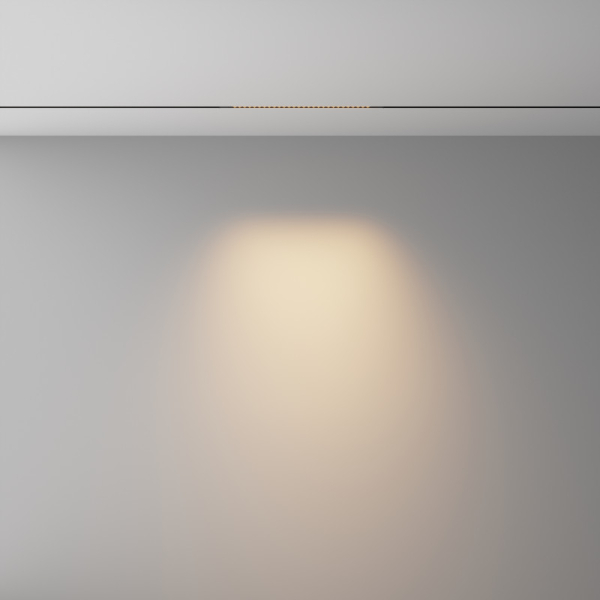 Светильник на шине Maytoni Technical TR241-2-6W3K-B