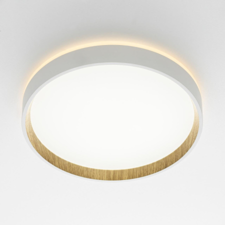 Накладной светильник Citilux CL750240