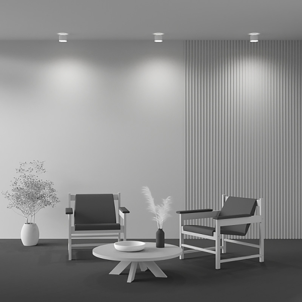 Накладной светильник Maytoni Technical C009CW-L12W