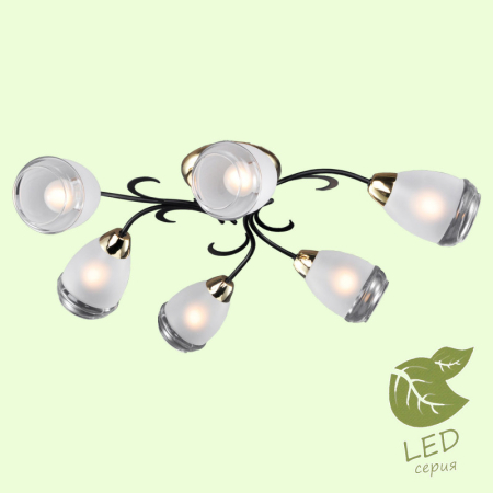Накладная люстра Lussole GRLSP-9952