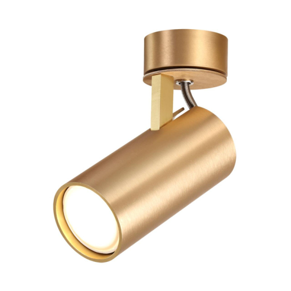 Спот Odeon Light 3876/1C
