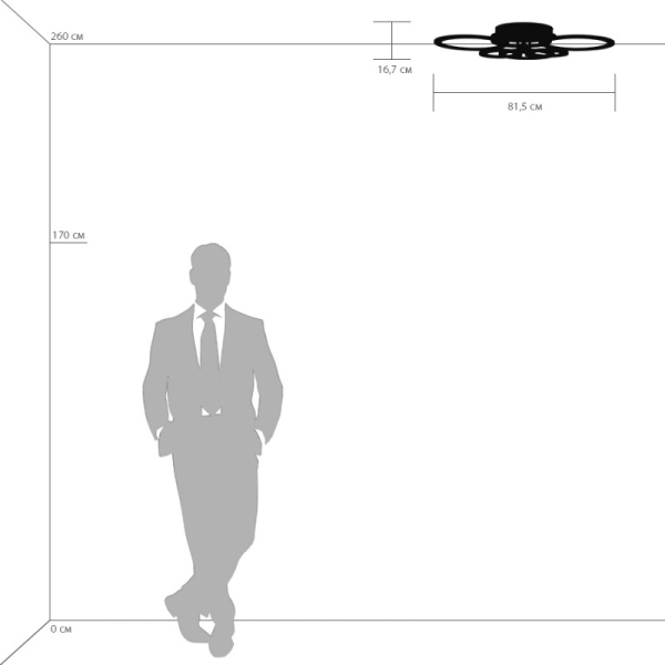 Накладной светильник Lightstar 749062