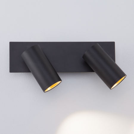 Спот Eurosvet 20066/2 черный/золото 10W