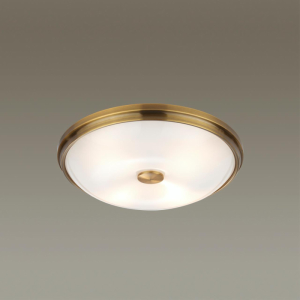 Накладной светильник Odeon Light 4956/4