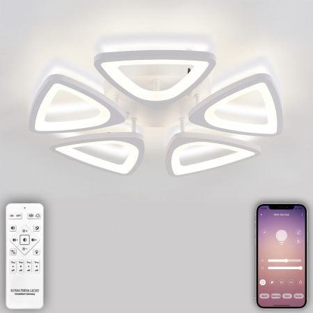 Накладная люстра Natali Kovaltseva LED LAMPS 81242