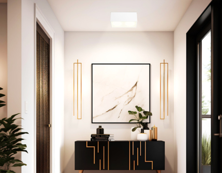 Накладной светильник Ambrella Light TN6534