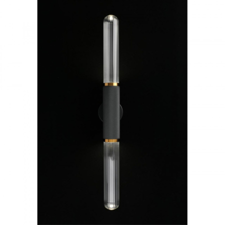 Бра APLOYT APL.307.01.02