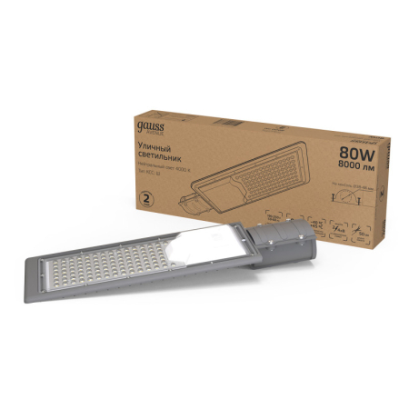 Консольный светильник Gauss 629534280
