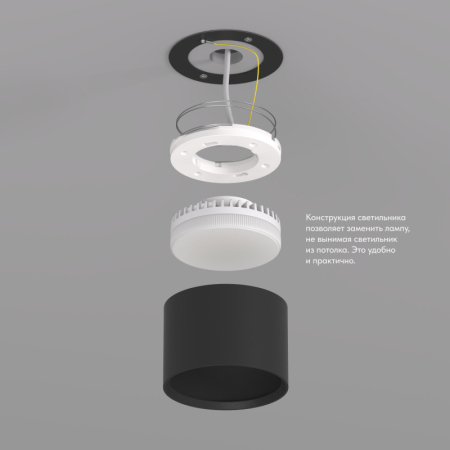 Накладной светильник Denkirs DK2601-BK