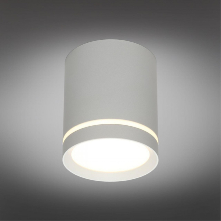 Накладной светильник Omnilux OML-102429-05