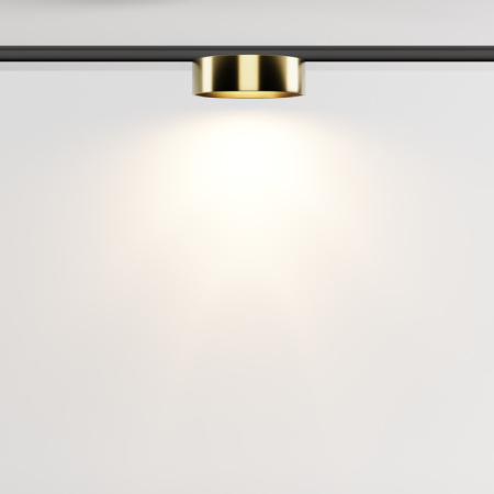 Светильник на шине Maytoni Technical TR189-1-12W3K-BBS