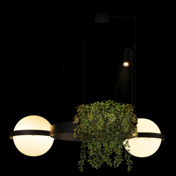 Подвесной светильник LOFT IT 10121/2