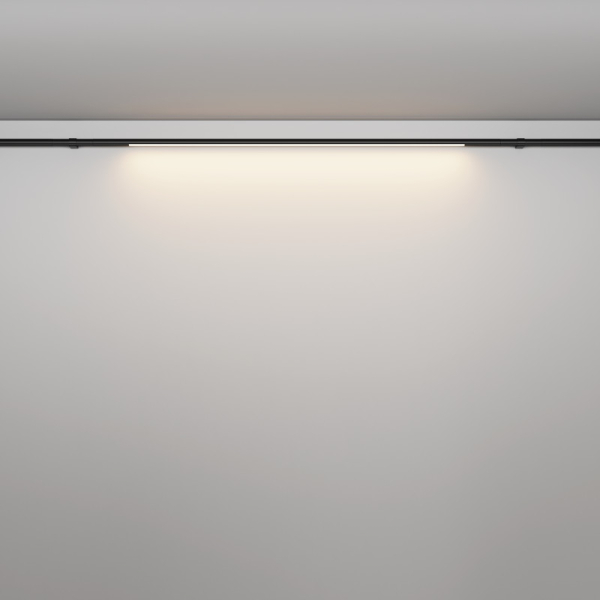 Светильник на шине Maytoni Technical C100CL-L1000-24W3-6K-B