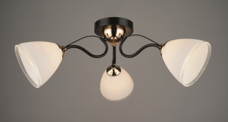 Накладная люстра Hiper H210-3