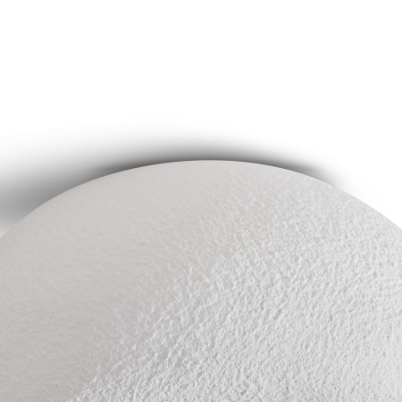 Накладной светильник Freya FR5428CL-01W