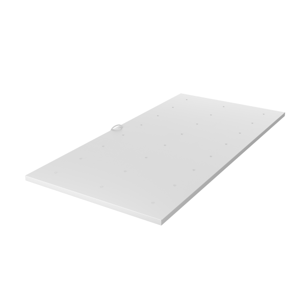 ЛПО 1200x600x20 60Вт 12В 5000К Микропризма