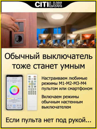 Накладной светильник Citilux CL718A100G