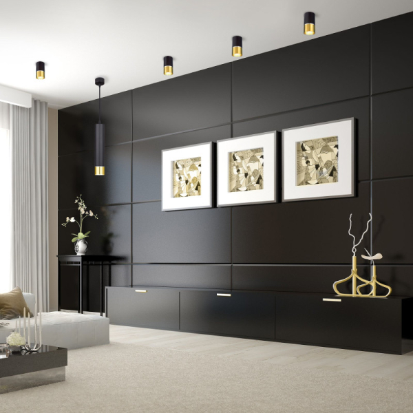 Накладной светильник Elektrostandard DLN106 GU10 черный/золото