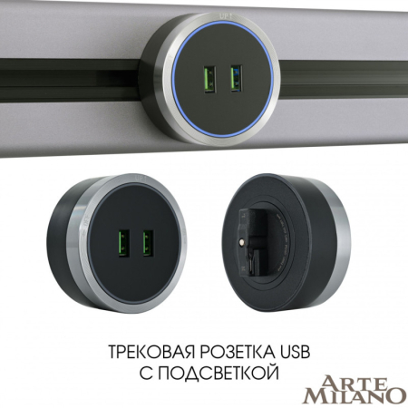 Трековая система розеток Arte Milano 380066TS LED/USBx2 Grey
