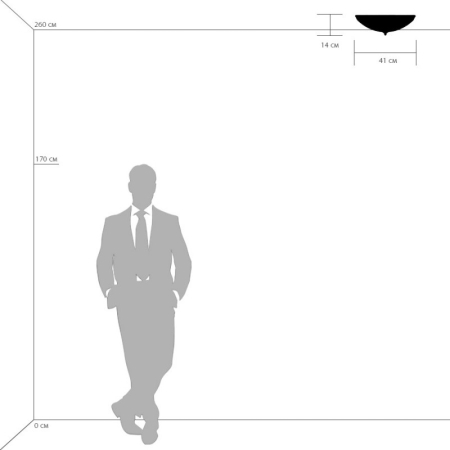 Накладной светильник Lightstar 820244