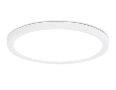 Накладной светильник Ambrella Light FZ1909