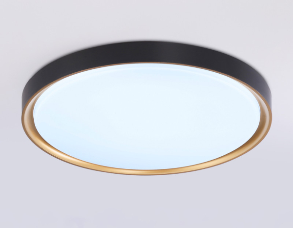 Накладной светильник Ambrella Light FZ1249