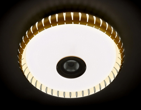 Накладной светильник Ambrella Light F789 GD 72W D500