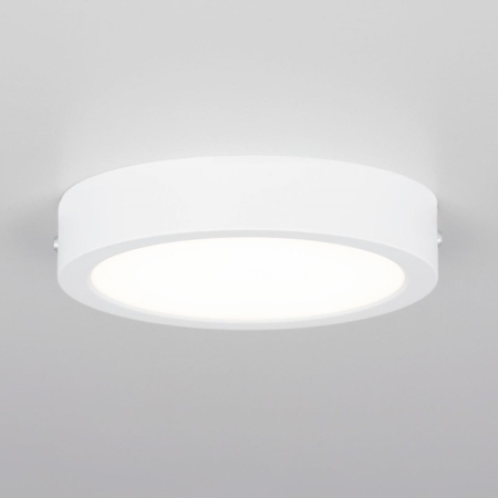 Накладной светильник Citilux CL5516N