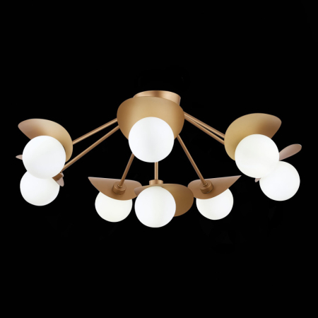 Накладная люстра Evoluce SLE220502-08