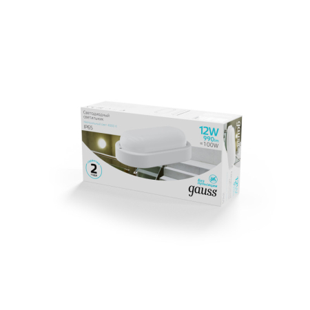 Пылевлагозащищенный светильник Gauss 161411212