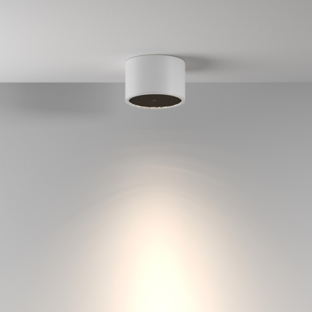 Влагозащищенный светильник Maytoni Technical C122CL-GX53-W