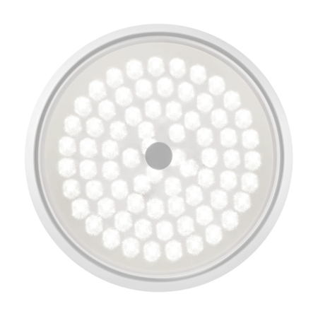 Накладной светильник Freya FR10012CL-L24W