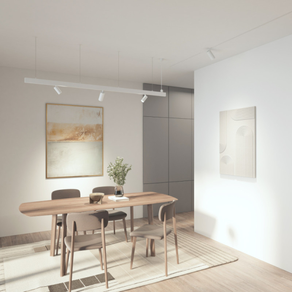 Светильник на шине Denkirs DK8210-WH