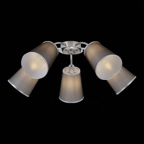 Накладная люстра Evoluce SLE103002-05