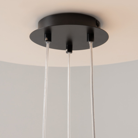 Подвесная люстра Maytoni MOD031PL-12B