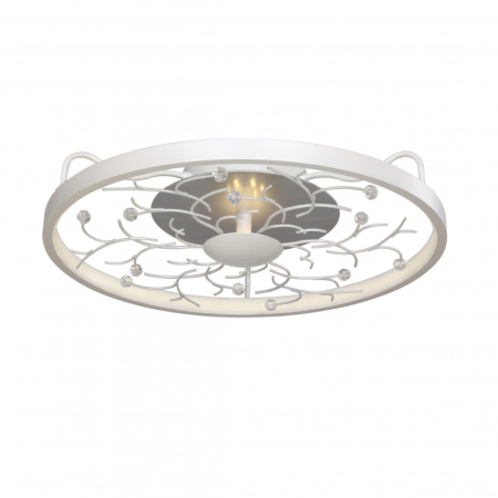 Накладной светильник Favourite 2533-4C