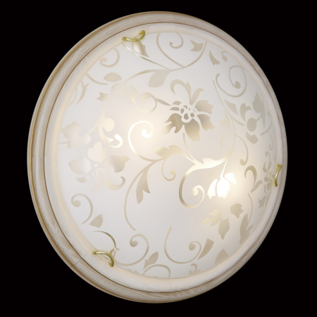 Накладной светильник Sonex 156/K