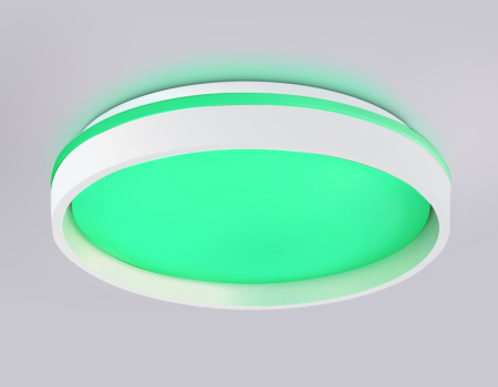 Накладной светильник Ambrella Light FZ601