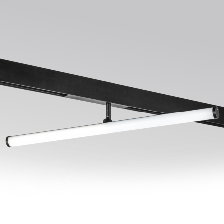 Светильник на шине Lightstar 205607